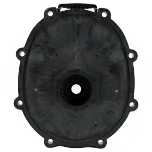 Jandy Pump Backplate R0445200